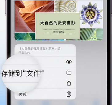 洪湖apple维修中心分享iPhone文件应用中存储和找到下载文件