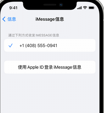 洪湖apple维修iPhone上无法正常发送iMessage信息 