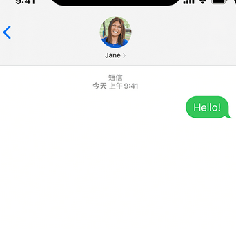 洪湖apple维修iPhone上无法正常发送iMessage信息