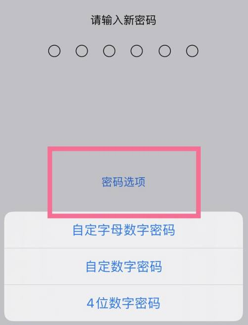 洪湖苹果14维修分享iPhone 14plus设置密码的方法 