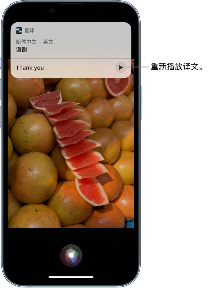 洪湖苹果14维修分享 iPhone 14 机型中使用 Siri：了解 Siri 能帮你做什么 