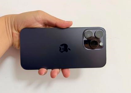 洪湖苹果维修点分享iPhone 14 Pro Max黑屏少见故障盘点 